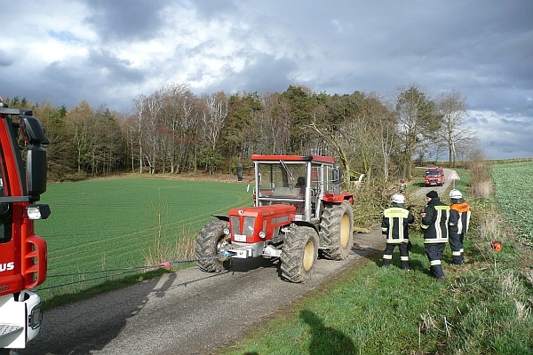 THL - Sturm/Schneebruch THL - Sturm/Schneebruch