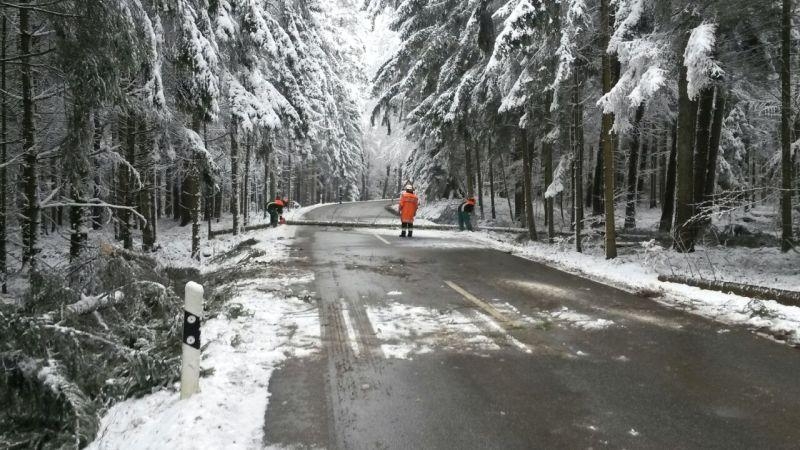 THL - Sturm/Schneebruch THL - Sturm/Schneebruch