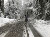 THL - Sturm/Schneebruch