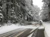 THL - Sturm/Schneebruch