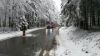 THL - Sturm/Schneebruch