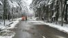 THL - Sturm/Schneebruch